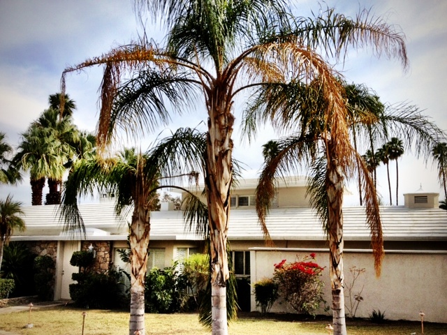 photo-1
