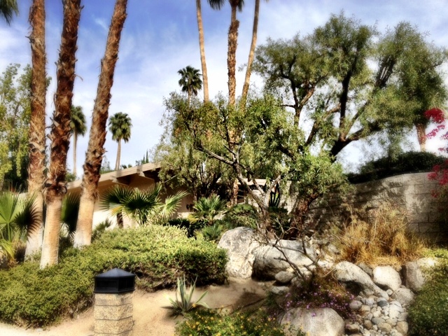 photo-17