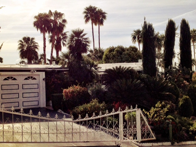 photo-5