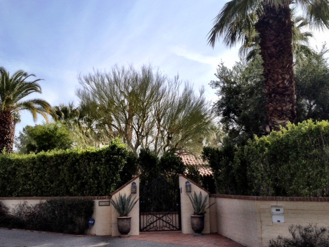 photo-8